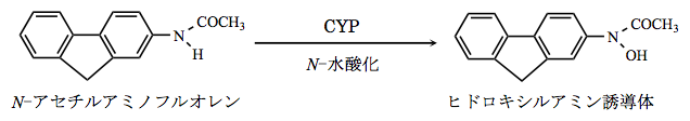 解説画像